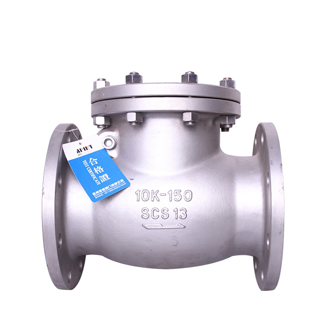 Stainless steel daily standard check valve